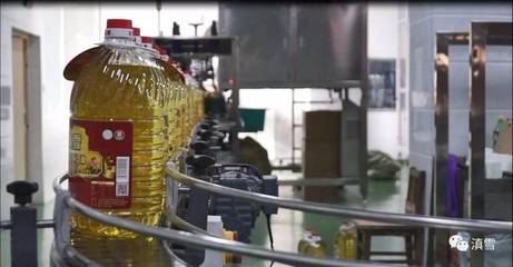 菜籽油小作坊與大工廠生產 品質、工藝與風味的差異解析